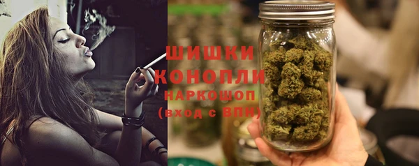 шишки Беломорск