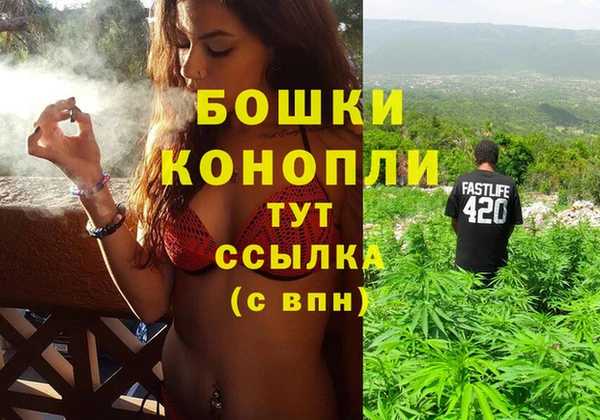 стаф Богородск