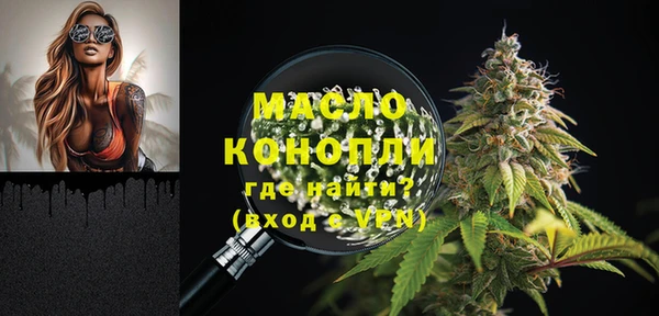 стаф Богородск